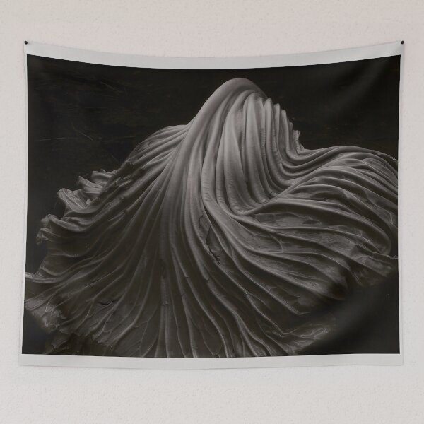 Item preview, Edward Weston 1886-1958, high resolution art of Edward Weston designed and sold by J-Oua.