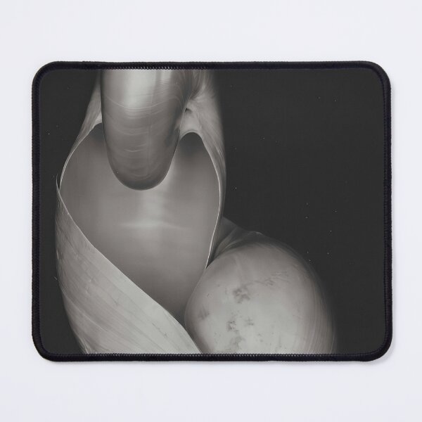 Item preview, Edward Weston 1886-1958, high resolution art of Edward Weston designed and sold by J-Oua.