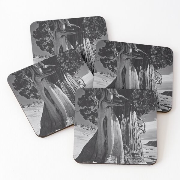 Item preview, Edward Weston 1886-1958, high resolution art of Edward Weston designed and sold by J-Oua.