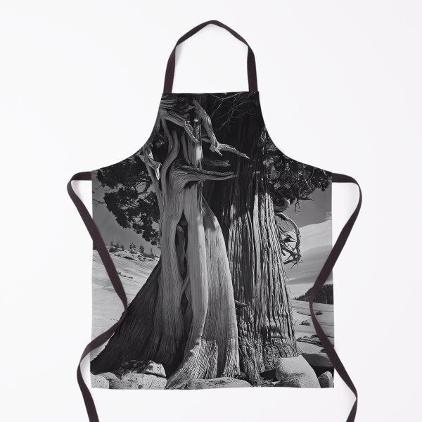 Item preview, Edward Weston 1886-1958, high resolution art of Edward Weston designed and sold by J-Oua.