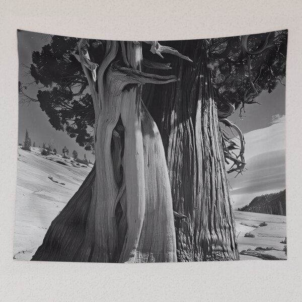 Item preview, Edward Weston 1886-1958, high resolution art of Edward Weston designed and sold by J-Oua.