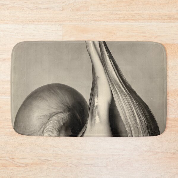 Item preview, Edward Weston 1886-1958, high resolution art of Edward Weston designed and sold by J-Oua.