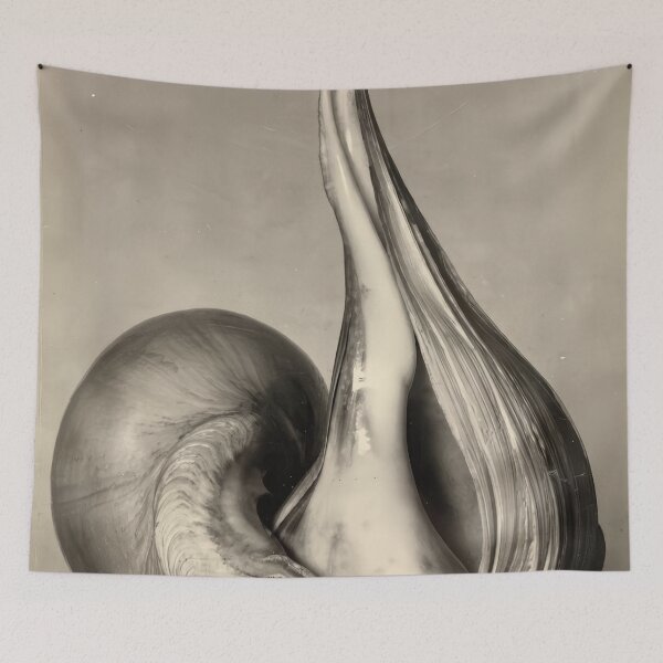 Item preview, Edward Weston 1886-1958, high resolution art of Edward Weston designed and sold by J-Oua.