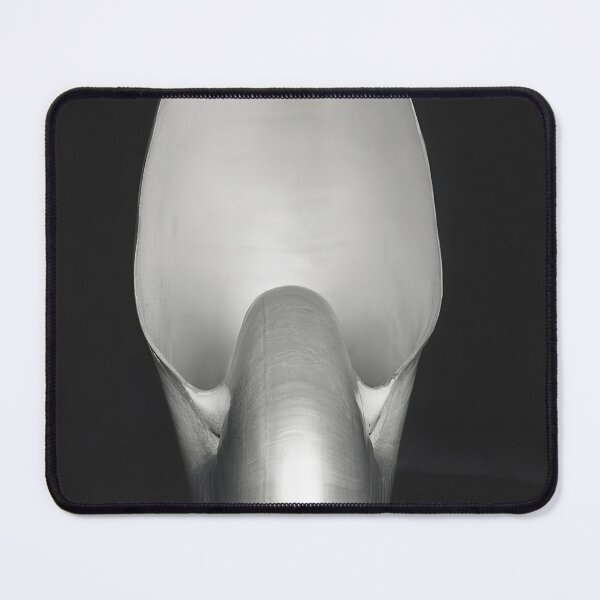 Item preview, Edward Weston 1886-1958, high resolution art of Edward Weston designed and sold by J-Oua.