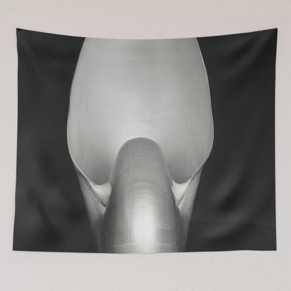 Item preview, Edward Weston 1886-1958, high resolution art of Edward Weston designed and sold by J-Oua.