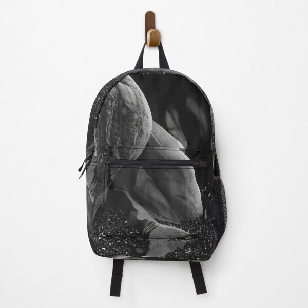 Item preview, Edward Weston 1886-1958, high resolution art of Edward Weston designed and sold by J-Oua.