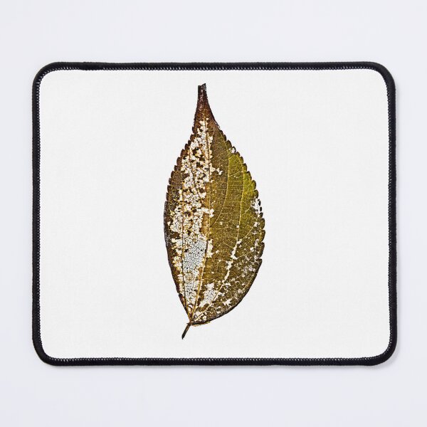 Item preview, Decay designed and sold by hursey.