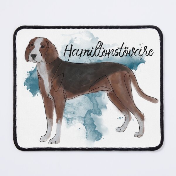Item preview, Hamiltonstövare Watercolor designed and sold by Spinyflowerart.