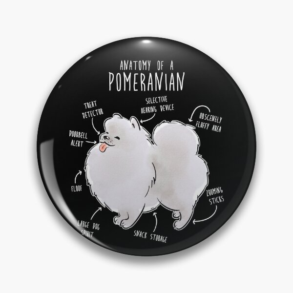 Item preview, White Pomeranian Dog Anatomy designed and sold by Clara Hollins.