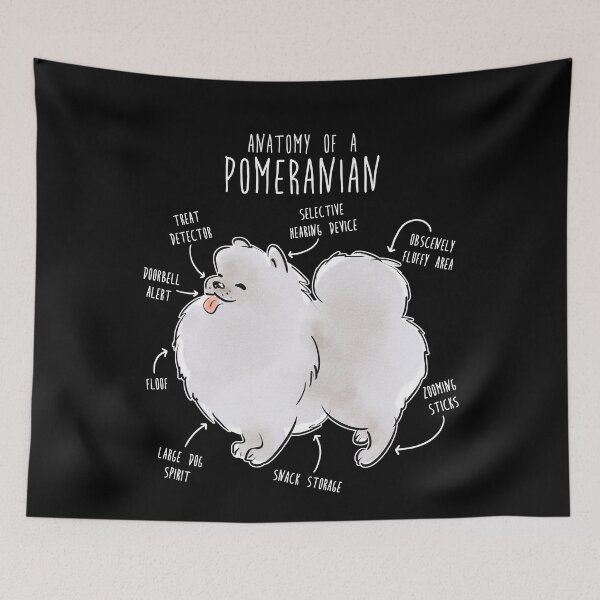 Item preview, White Pomeranian Dog Anatomy designed and sold by Clara Hollins.