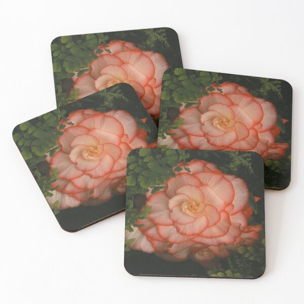 Item preview, Begonia amidst ferns designed and sold by The Printery.