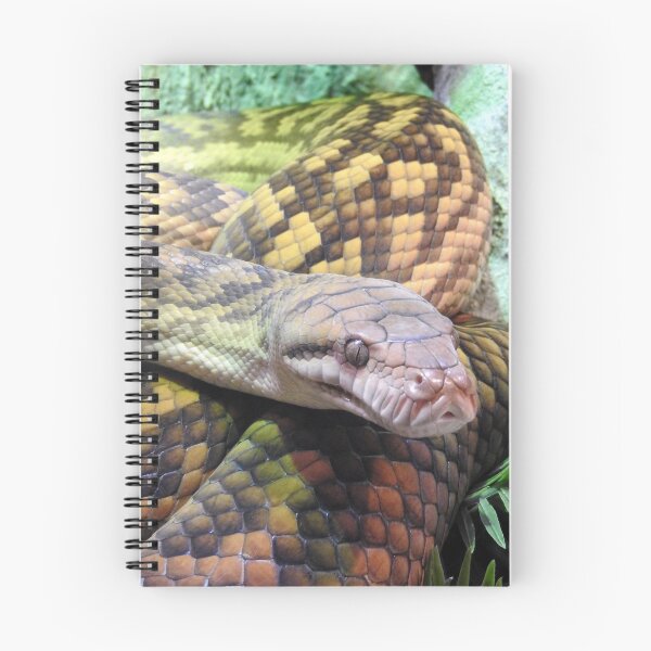 Item preview, Amethystine Python designed and sold by kirstybush.