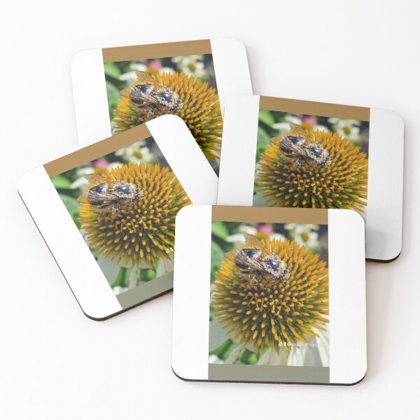 Item preview, BE KIND TO NATURE designed and sold by Visit Upstate.