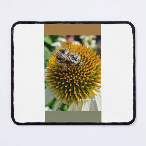 Item preview, BE KIND TO NATURE designed and sold by Visit Upstate.