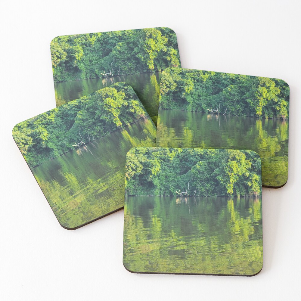 Item preview, Coasters (Set of 4) designed and sold by Visit Upstate.