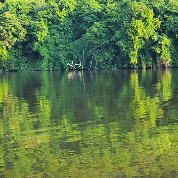 Artwork thumbnail, Reflection Time by Visit Upstate
