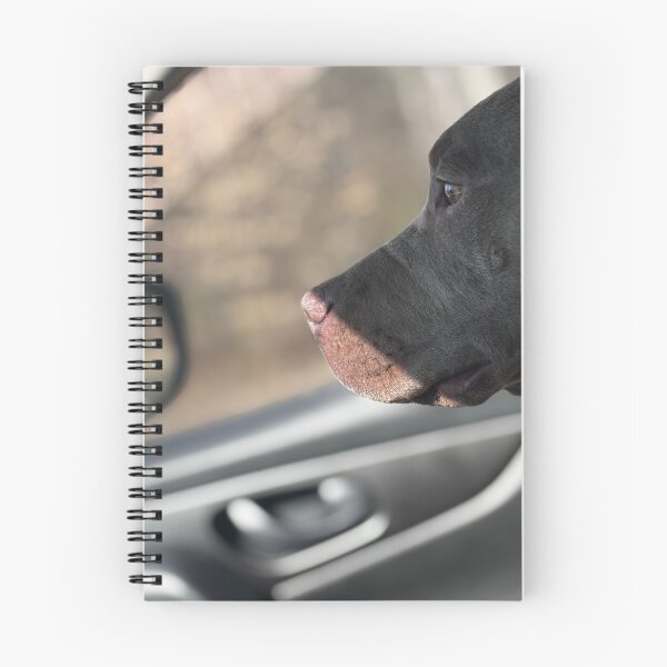 Item preview, Pitbull enjoying a ride  designed and sold by Bekahmunster.