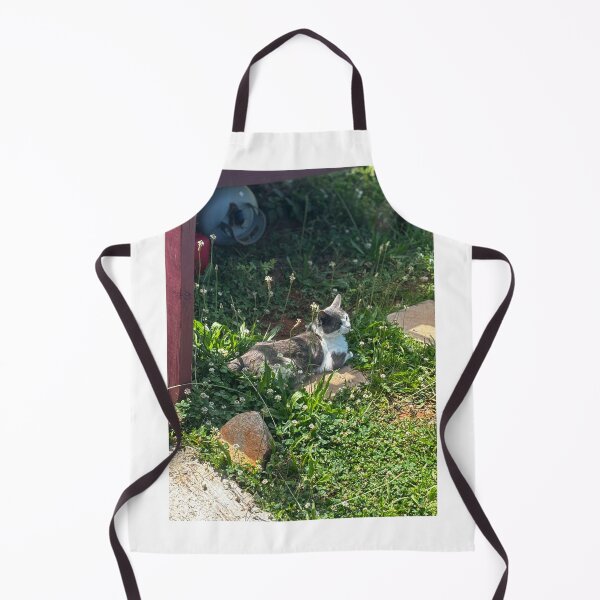 Item preview, Cat enjoying the sun designed and sold by Bekahmunster.