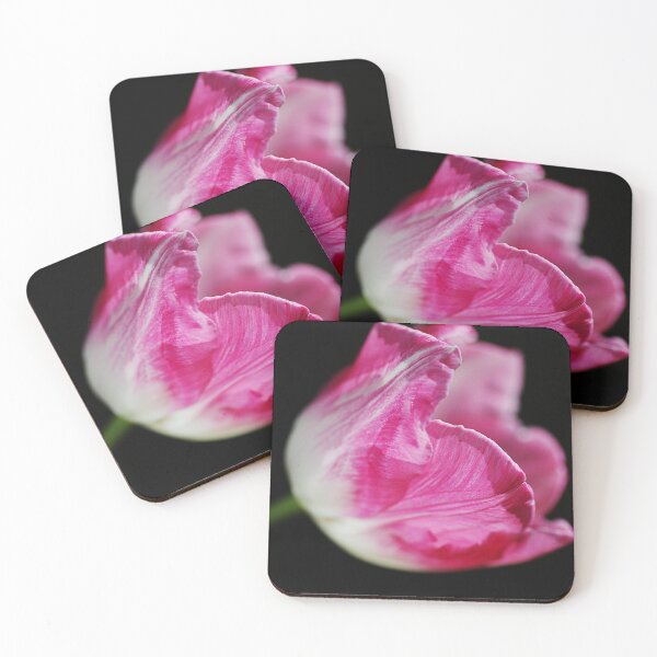 Item preview, White Based Pink Tulip designed and sold by Joy Watson - Natural Light Photography .