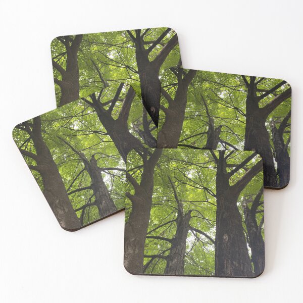 Item preview, TALL AS THE TREES designed and sold by Somedaysooon.