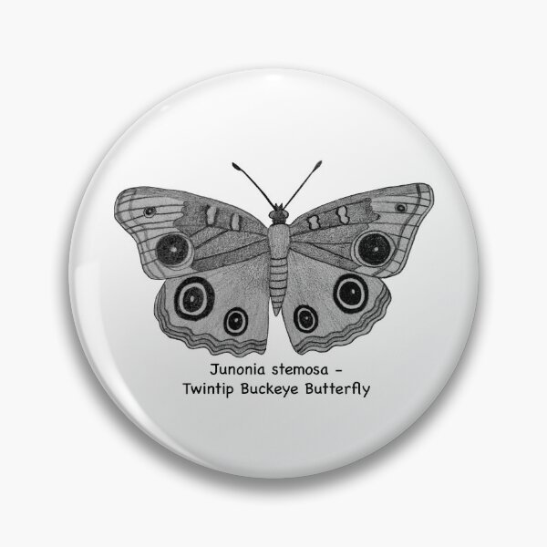 Item preview, Twintip Buckeye Butterfly - Junonia stemosa designed and sold by scarpacific.