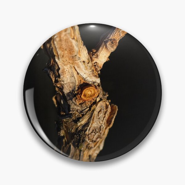 Item preview, End of Winter at the Arboretum in Canberra/ACT/Australia (21) designed and sold by Wolf Sverak Photography.