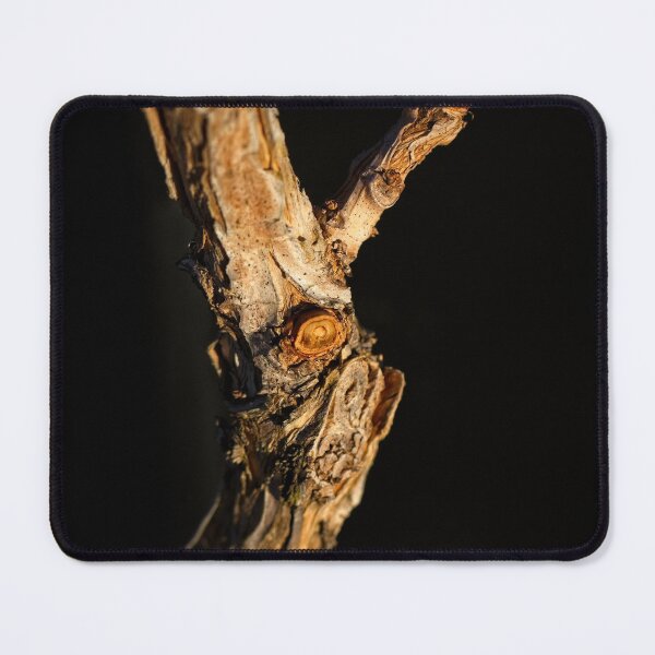 Item preview, End of Winter at the Arboretum in Canberra/ACT/Australia (21) designed and sold by Wolf Sverak Photography.
