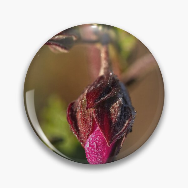 Item preview, End of Winter at the Arboretum in Canberra/ACT/Australia (20) designed and sold by Wolf Sverak Photography.