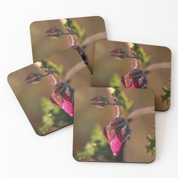 Item preview, End of Winter at the Arboretum in Canberra/ACT/Australia (20) designed and sold by Wolf Sverak Photography.