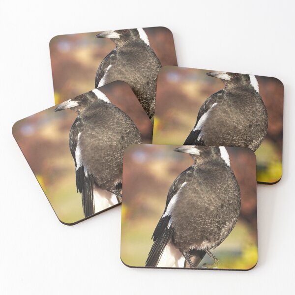 Item preview, End of Winter at the Arboretum in Canberra/ACT/Australia (19) designed and sold by Wolf Sverak Photography.
