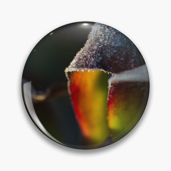 Item preview, End of Winter at the Arboretum in Canberra/ACT/Australia (18) designed and sold by Wolf Sverak Photography.