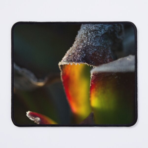 Item preview, End of Winter at the Arboretum in Canberra/ACT/Australia (18) designed and sold by Wolf Sverak Photography.