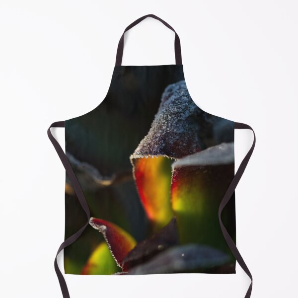 Item preview, End of Winter at the Arboretum in Canberra/ACT/Australia (18) designed and sold by Wolf Sverak Photography.