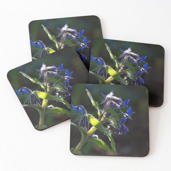 Item preview, End of Winter at the Arboretum in Canberra/ACT/Australia (17) designed and sold by Wolf Sverak Photography.