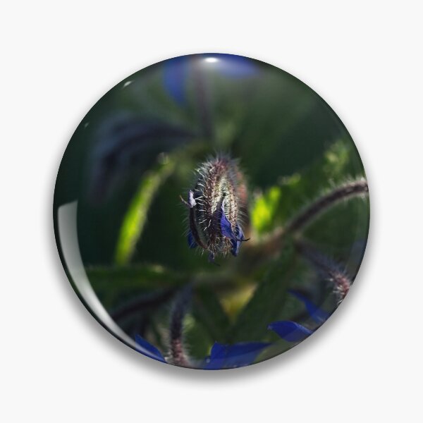 Item preview, End of Winter at the Arboretum in Canberra/ACT/Australia (16) designed and sold by Wolf Sverak Photography.