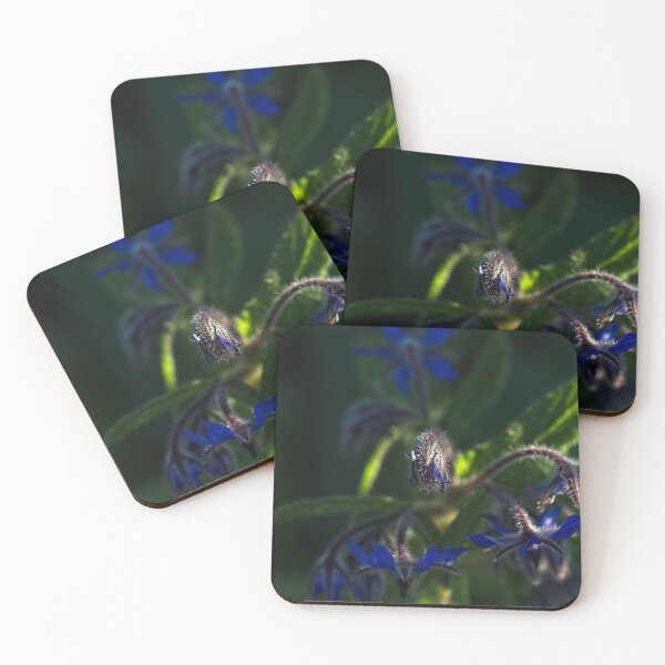 Item preview, End of Winter at the Arboretum in Canberra/ACT/Australia (16) designed and sold by Wolf Sverak Photography.