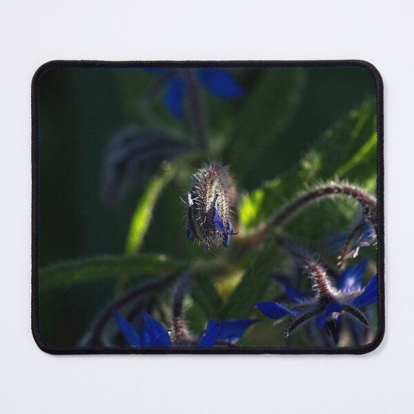 Item preview, End of Winter at the Arboretum in Canberra/ACT/Australia (16) designed and sold by Wolf Sverak Photography.