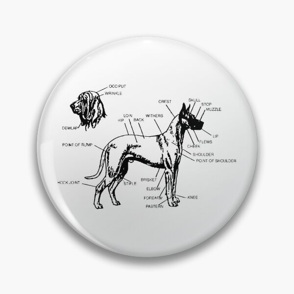 Item preview, Diagram of a Canine designed and sold by Corner-Distro.