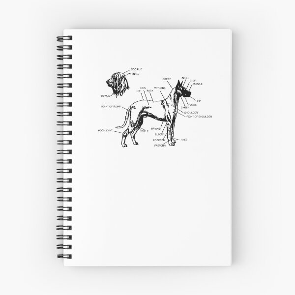 Item preview, Diagram of a Canine designed and sold by Corner-Distro.
