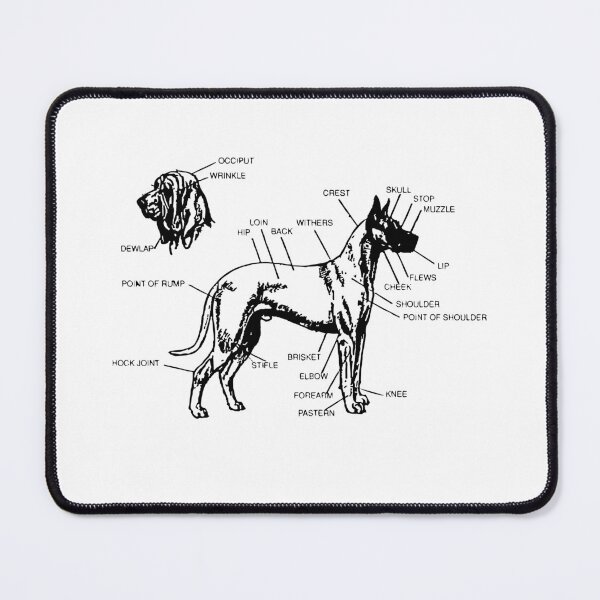 Item preview, Diagram of a Canine designed and sold by Corner-Distro.
