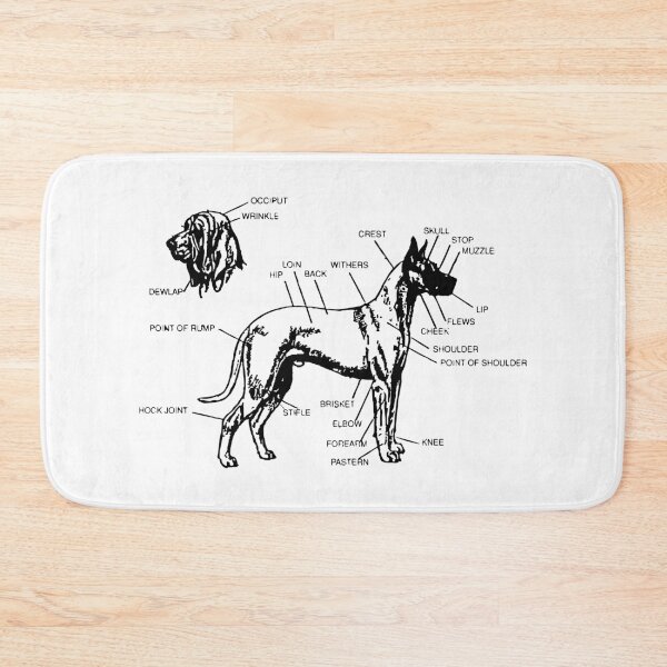 Item preview, Diagram of a Canine designed and sold by Corner-Distro.