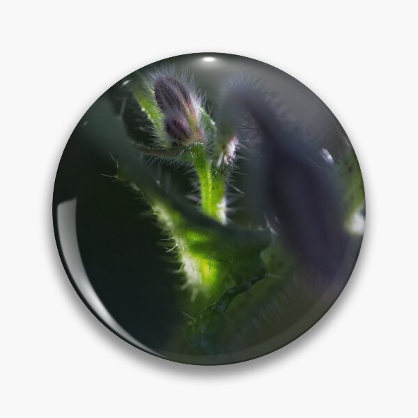Item preview, End of Winter at the Arboretum in Canberra/ACT/Australia (15) designed and sold by Wolf Sverak Photography.