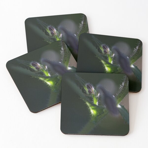 Item preview, End of Winter at the Arboretum in Canberra/ACT/Australia (15) designed and sold by Wolf Sverak Photography.