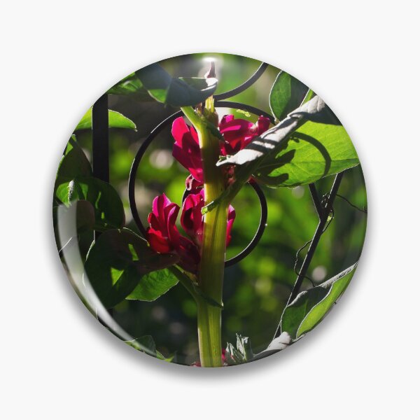 Item preview, End of Winter at the Arboretum in Canberra/ACT/Australia (14) designed and sold by Wolf Sverak Photography.