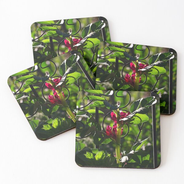 Item preview, End of Winter at the Arboretum in Canberra/ACT/Australia (14) designed and sold by Wolf Sverak Photography.
