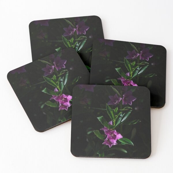 Item preview, End of Winter at the Arboretum in Canberra/ACT/Australia (13) designed and sold by Wolf Sverak Photography.
