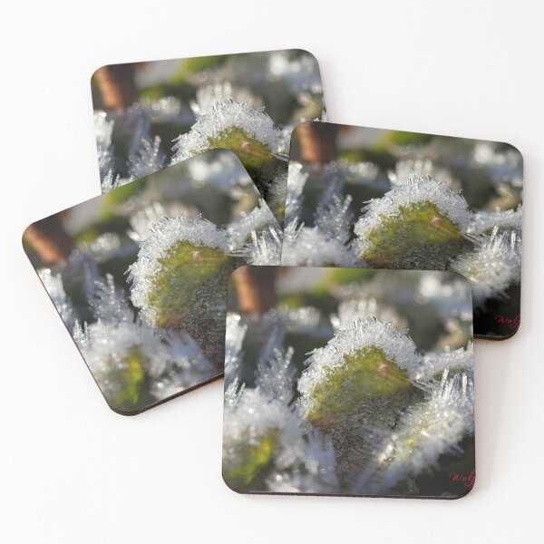 Item preview, End of Winter at the Arboretum in Canberra/ACT/Australia (12) designed and sold by Wolf Sverak Photography.