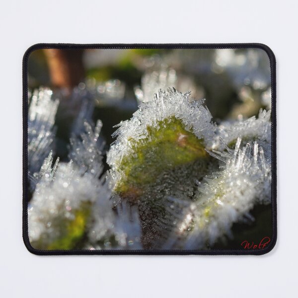 Item preview, End of Winter at the Arboretum in Canberra/ACT/Australia (12) designed and sold by Wolf Sverak Photography.