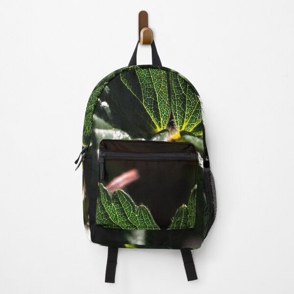 Item preview, End of Winter at the Arboretum in Canberra/ACT/Australia (11) designed and sold by Wolf Sverak Photography.