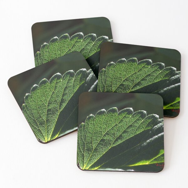 Item preview, End of Winter at the Arboretum in Canberra/ACT/Australia (10) designed and sold by Wolf Sverak Photography.